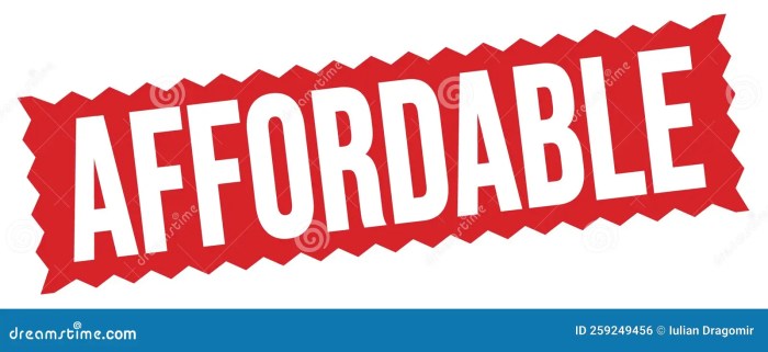 Affordable cars with advanced features