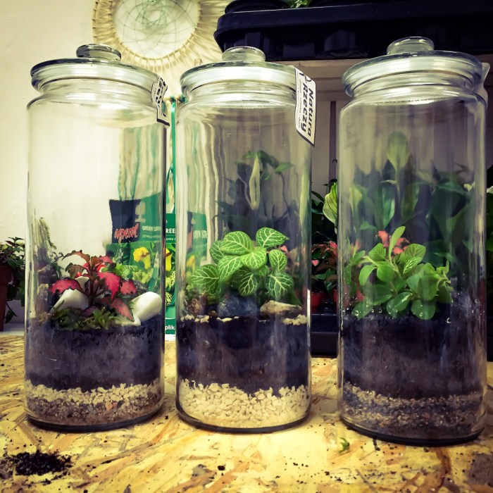 Free Images : branch, plant, house, flower, glass, home, vase ...