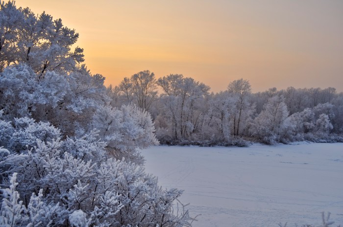Winter Landscape Free Stock Photo - Public Domain Pictures Winter car maintenance tips